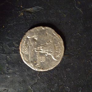 Montana error