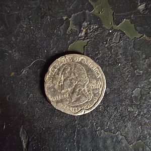 Montana error