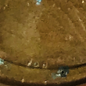 What are these markings
