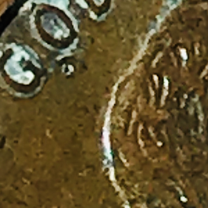 What are these markings