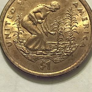 Gold Quarter