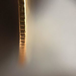 Edge 1