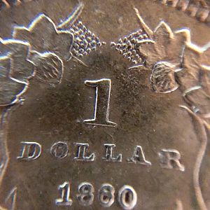 Reverse 2