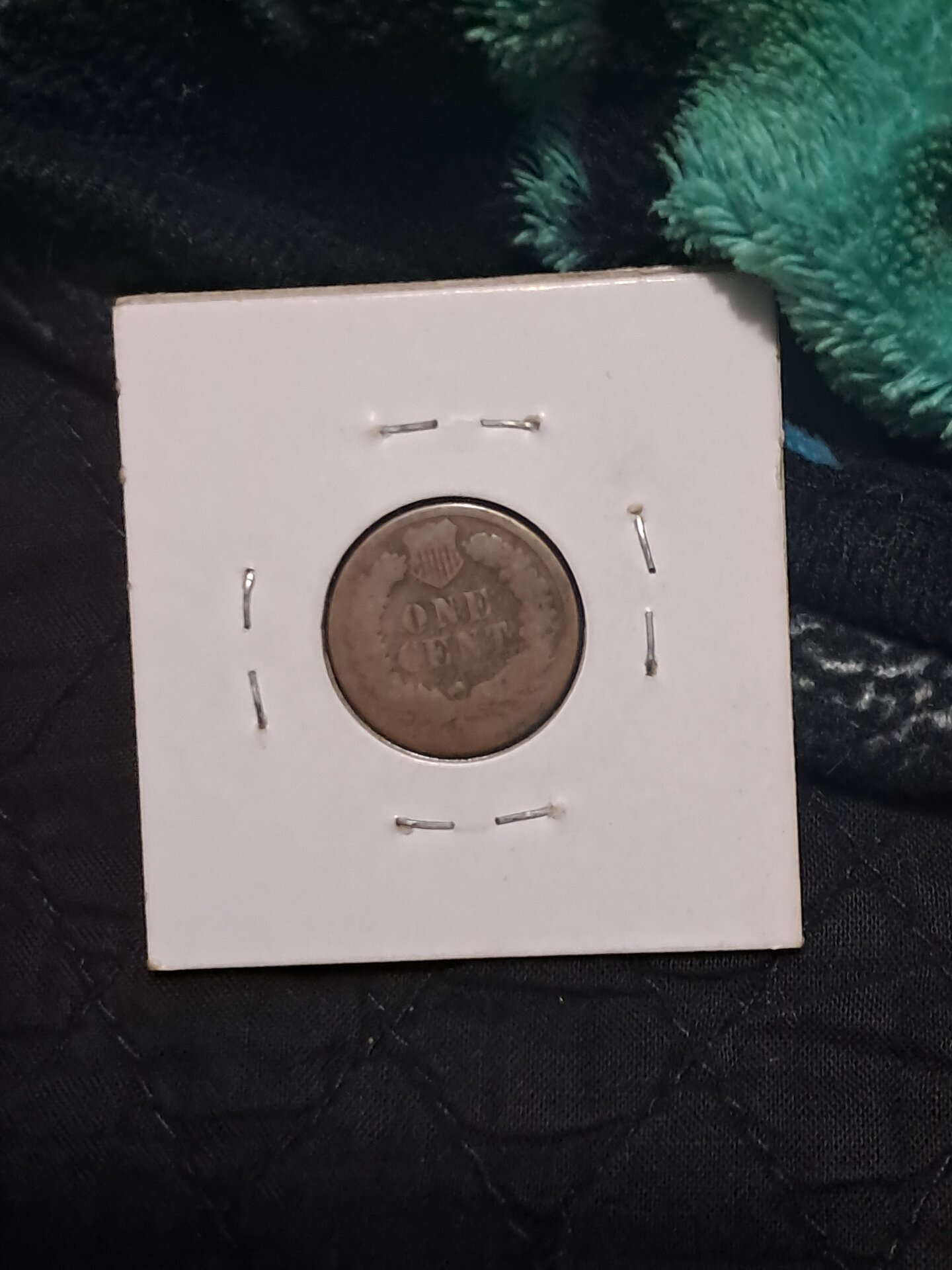 1877 1c photo 2