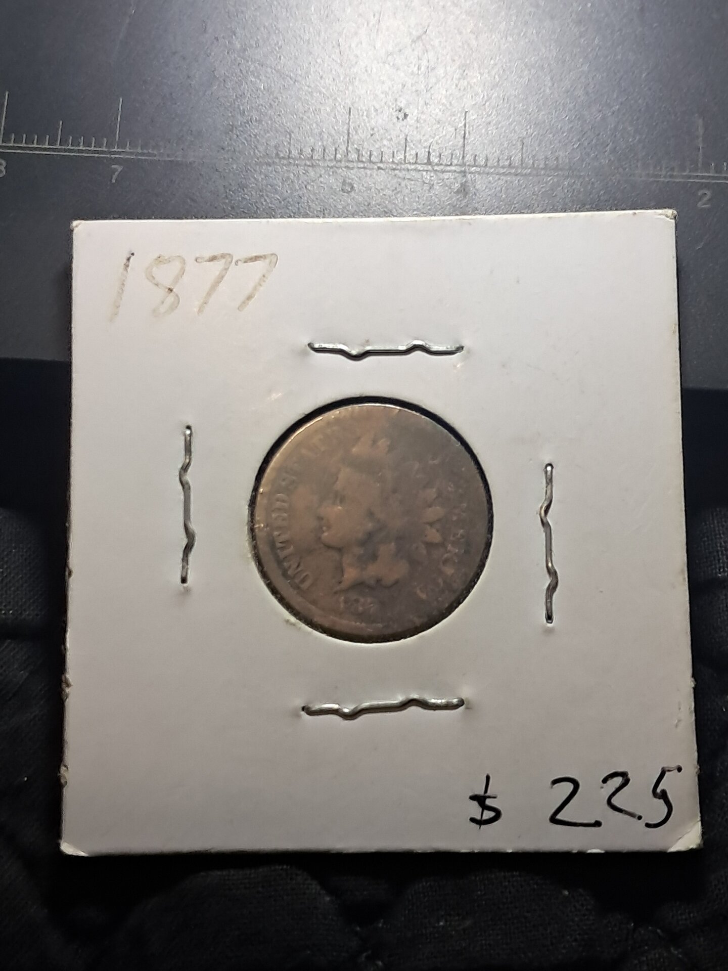 1877 under better lighting.