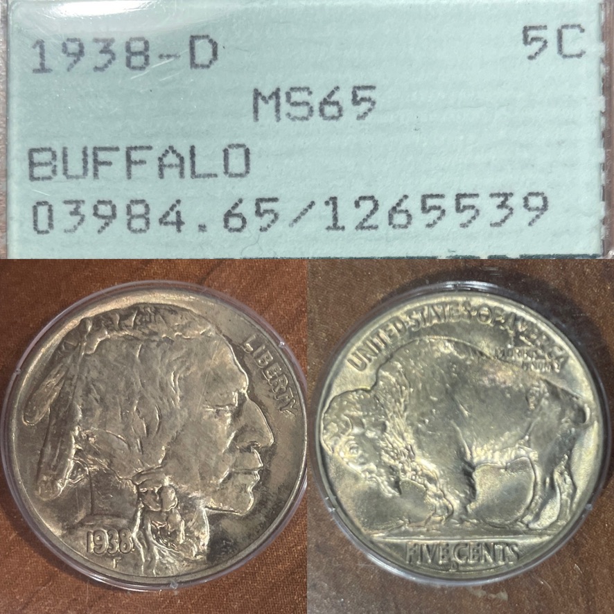 1938-D MS65 Rattler Buffalo