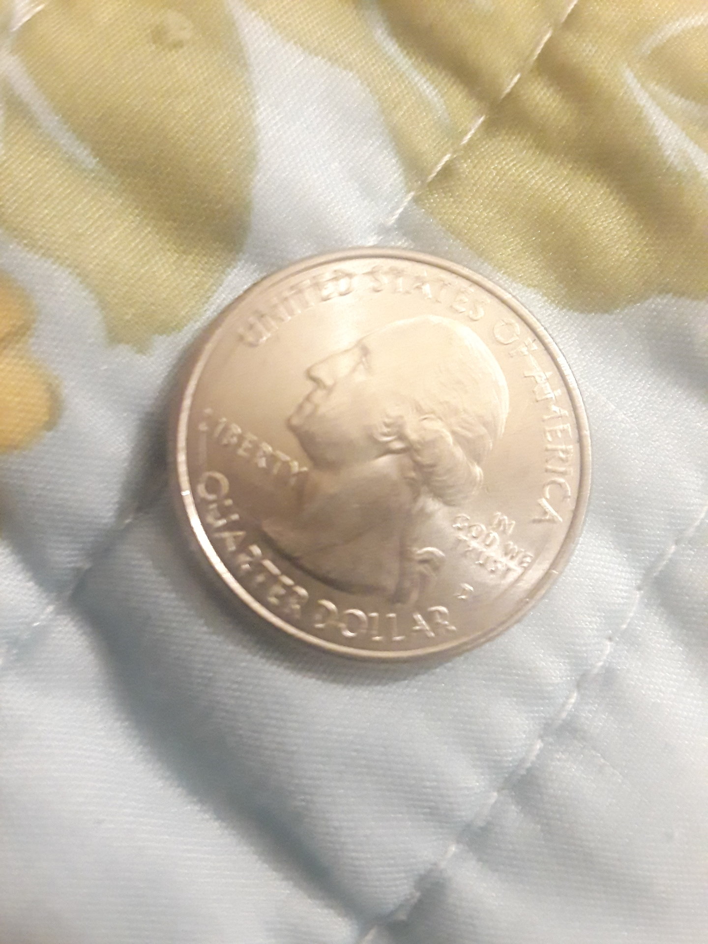 2013 25c Nevada basin error