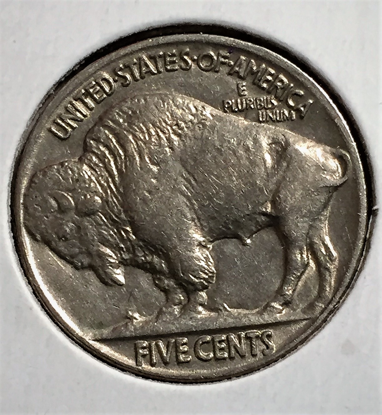 21935 buffalo2.jpg