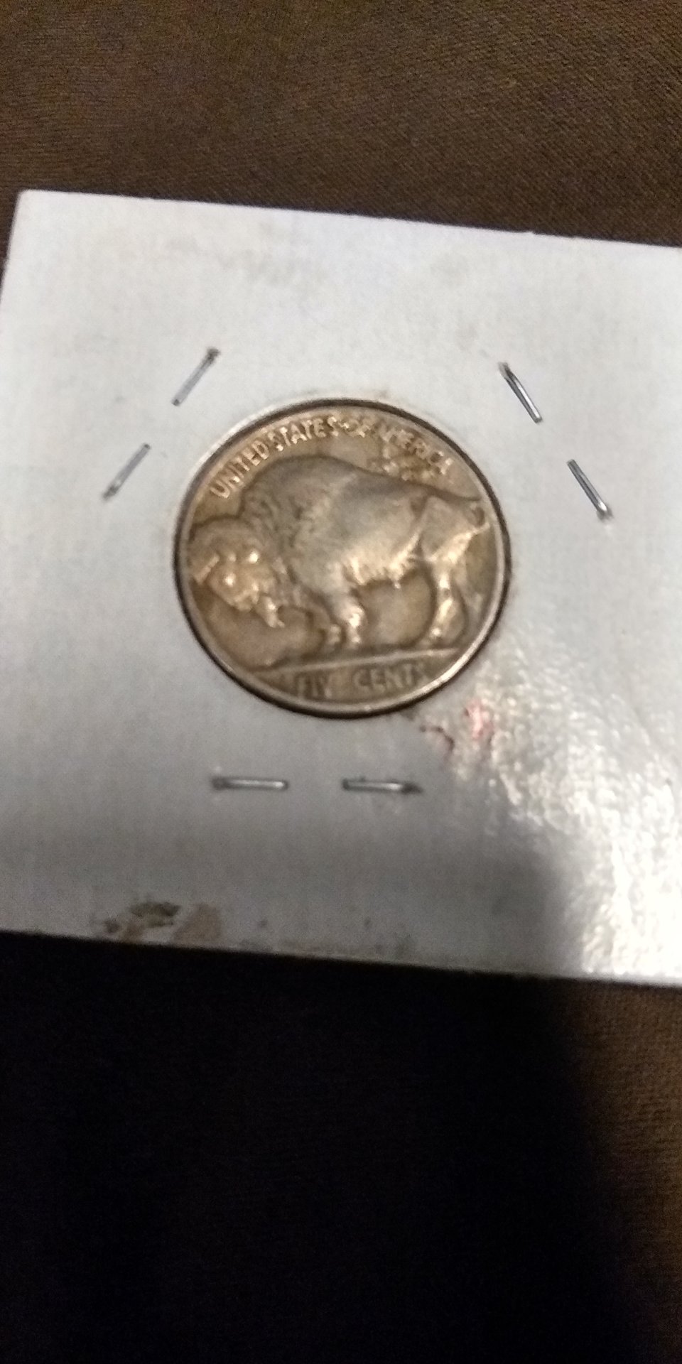 Buffalo nickel BCK