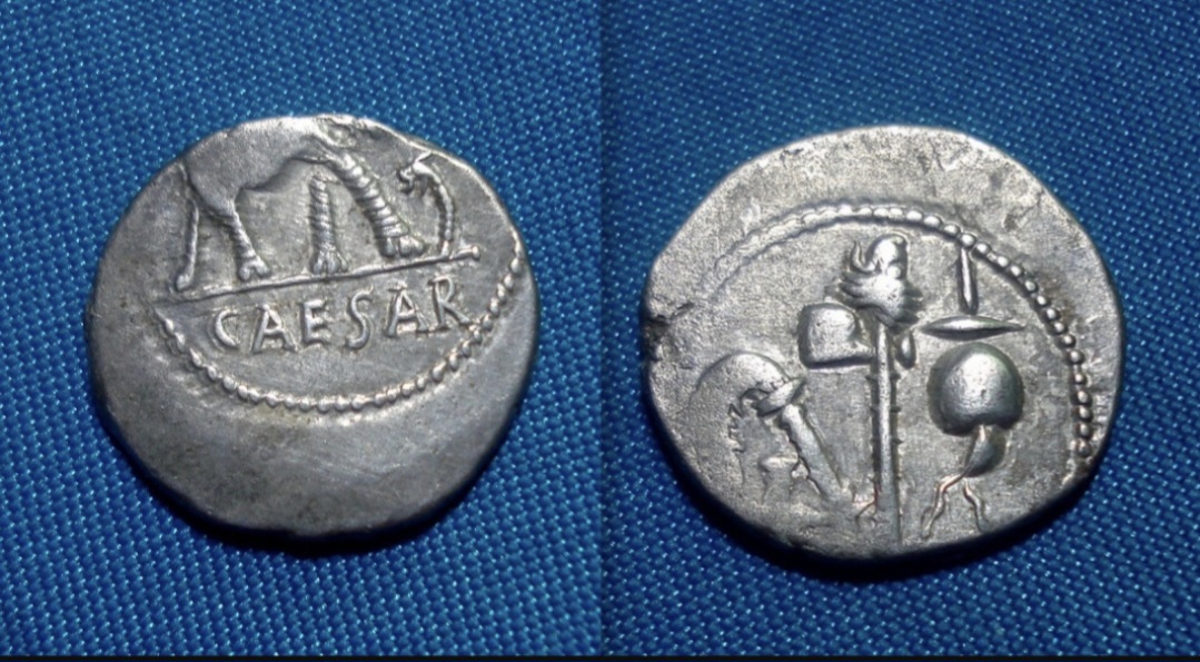 Julius Caesar Elephant Denarius