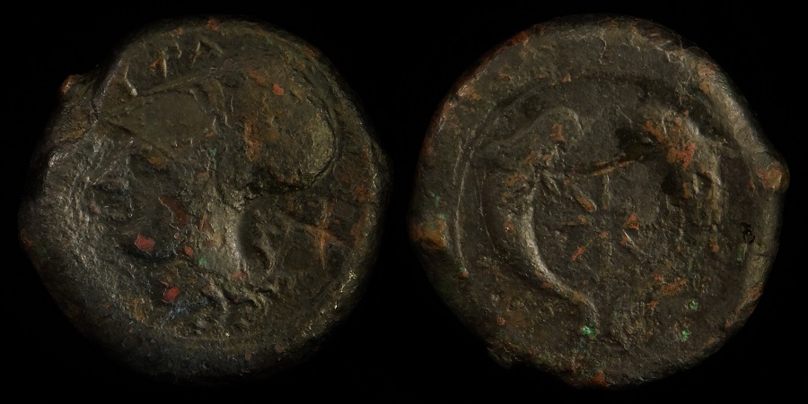 JWT 89 Syracuse Athena Dolphins